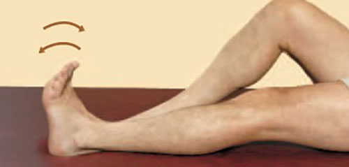 Ankle