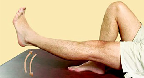Knee