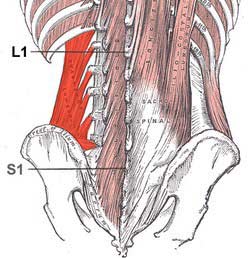 espa4