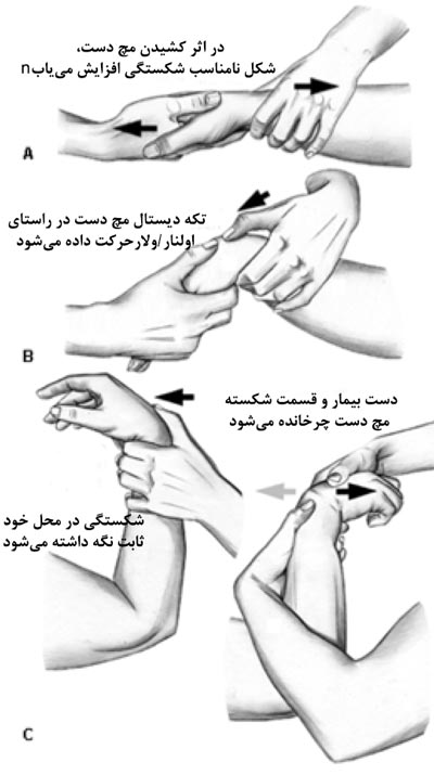 physiotherapy4